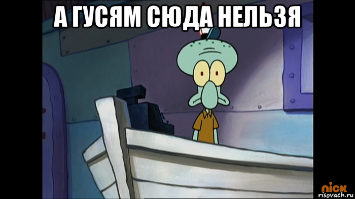а гусям сюда нельзя , Мем Сквид в шоке