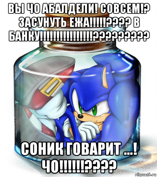 вы чо абалдели! совсем!? засунуть ежа!!!!!???? в банку!!!!!!!!!!!!!!!!????????? соник говарит ...! чо!!!!!!????, Мем соник