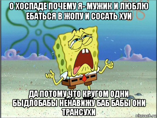 о хоспаде почему я- мужик и люблю ебаться в жопу и сосать хуи да потому что кругом одни быдлобабы ненавижу баб бабы они трансухи, Мем Спанч Боб плачет