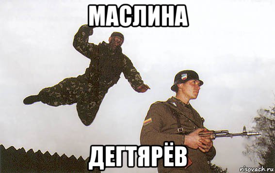 маслина дегтярёв
