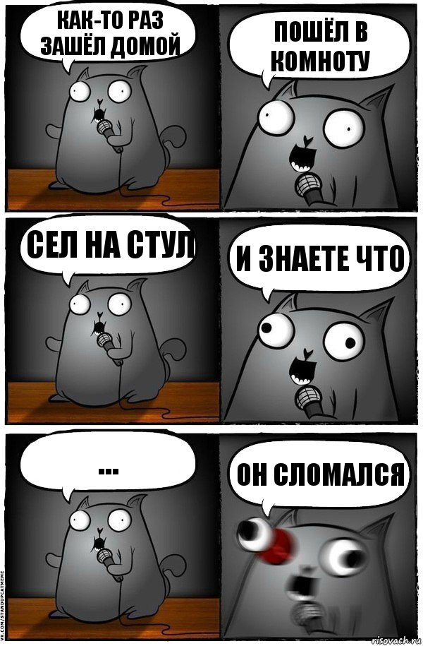 Как-то раз зашёл домой Пошёл в комноту Сел на стул И знаете что ... Он сломался, Комикс  Стендап-кот