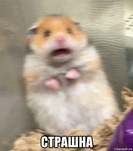  страшна, Мем Страшна