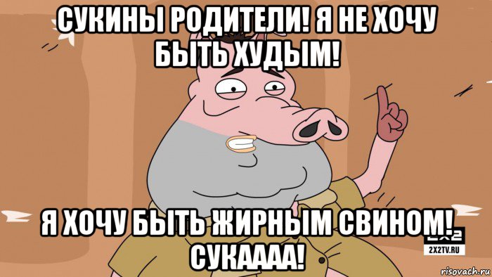 сукины родители! я не хочу быть худым! я хочу быть жирным свином! сукаааа!, Мем Свинья из подозрительной совы