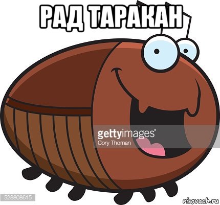 рад таракан , Мем Таракан