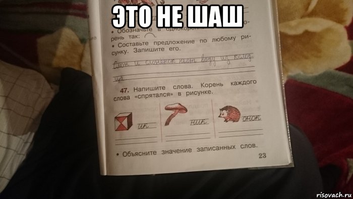 это не шаш , Мем Тетрадь