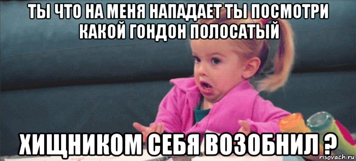 ты что на меня нападает ты посмотри какой гондон полосатый хищником себя возобнил ?, Мем  Ты говоришь (девочка возмущается)