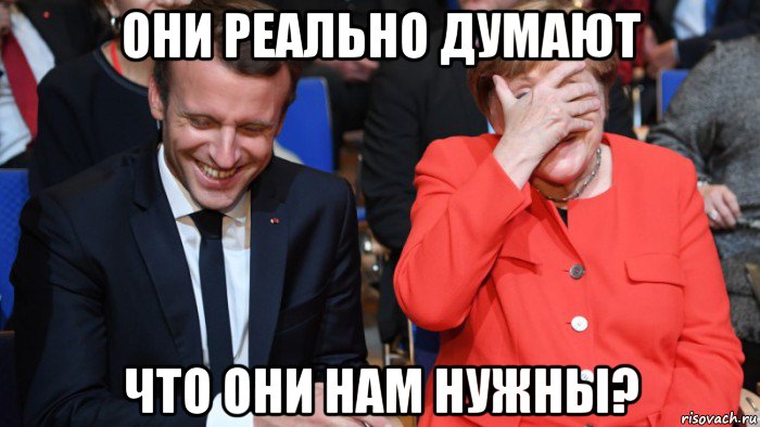 они реально думают что они нам нужны?, Мем Тупые