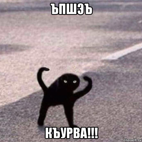 ъпшэъ къурва!!!