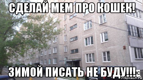 сделай мем про кошек! зимой писать не буду!!!, Мем УлПролетарская50 Муром