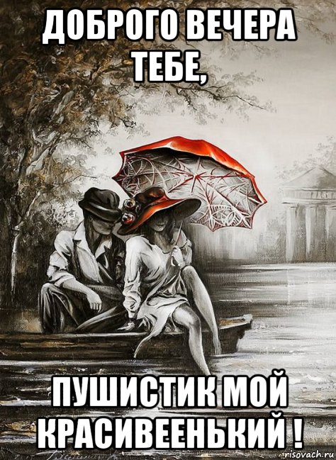 доброго вечера тебе, пушистик мой красивеенький !, Мем В СКВЕРИКЕ