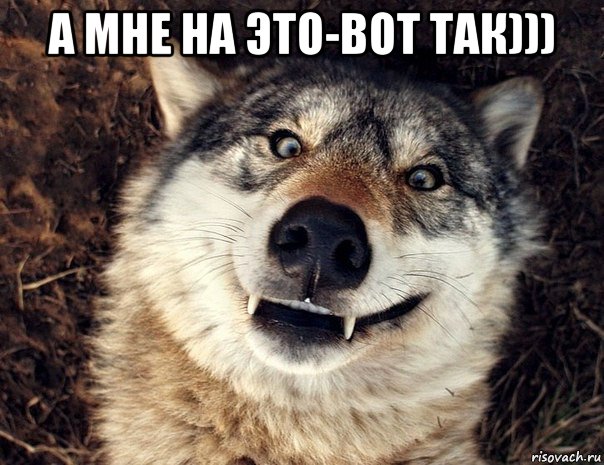 а мне на это-вот так))) , Мем Волк