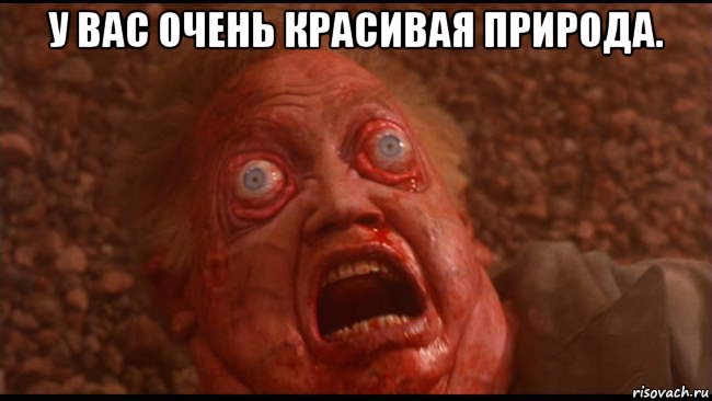 у вас очень красивая природа. 