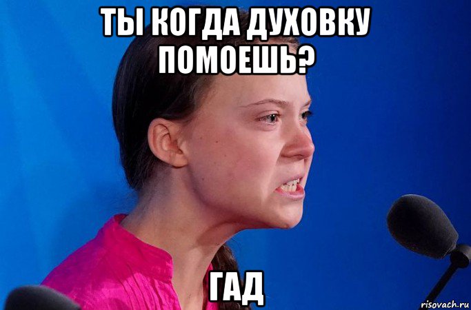ты когда духовку помоешь? гад, Мем Вы мне ска