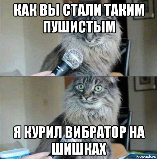 как вы стали таким пушистым я курил вибратор на шишках