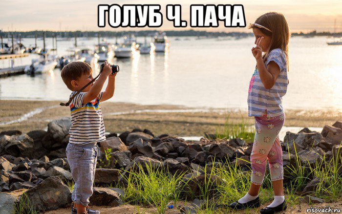 голуб ч. пача , Мем Высокая девочка и низкий мальчик