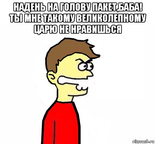 надень на голову пакет,баба! ты мне такому великолепному царю не нравишься , Мем Я сам насосал