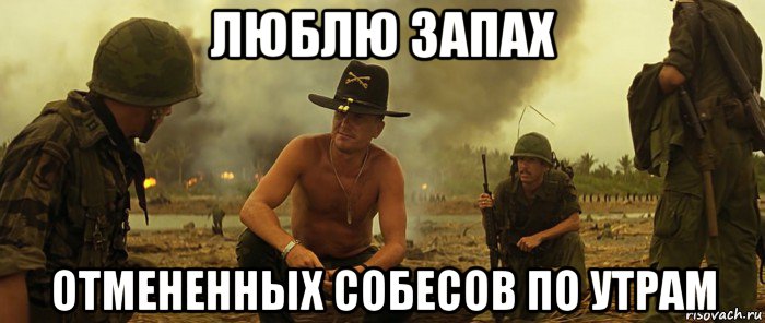 люблю запах отмененных собесов по утрам
