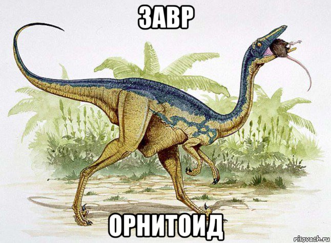 завр орнитоид, Мем Заврорнитоид с Крысой