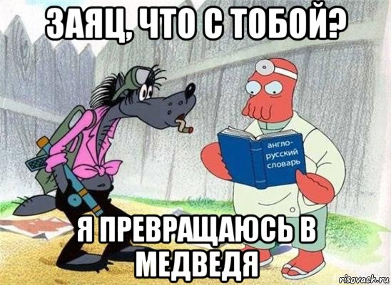 заяц, что с тобой? я превращаюсь в медведя