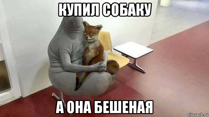 купил собаку а она бешеная