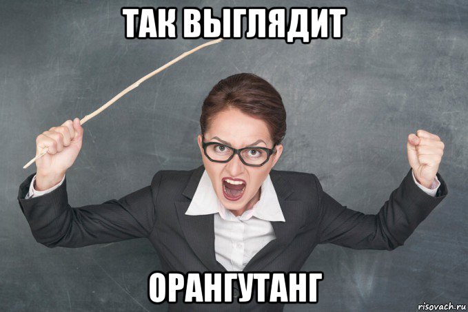 так выглядит орангутанг, Мем Злая учительница