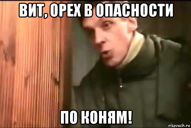 вит, орех в опасности по коням!
