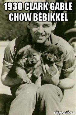1930 clark gable chow bébikkel , Мем 1930 Clark Gable chow bbikkel