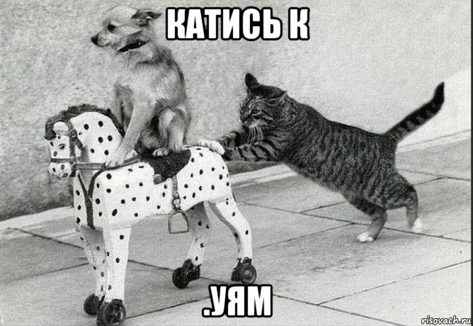 катись к .уям, Мем А