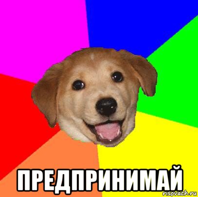  предпринимай, Мем Advice Dog