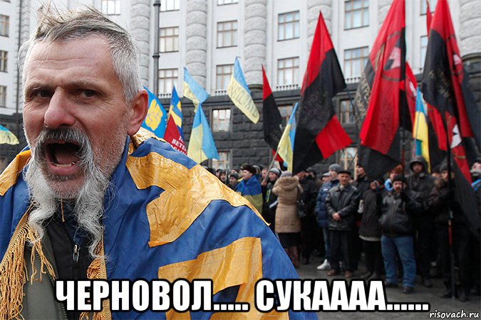  черновол..... сукаааа......, Мем Авп