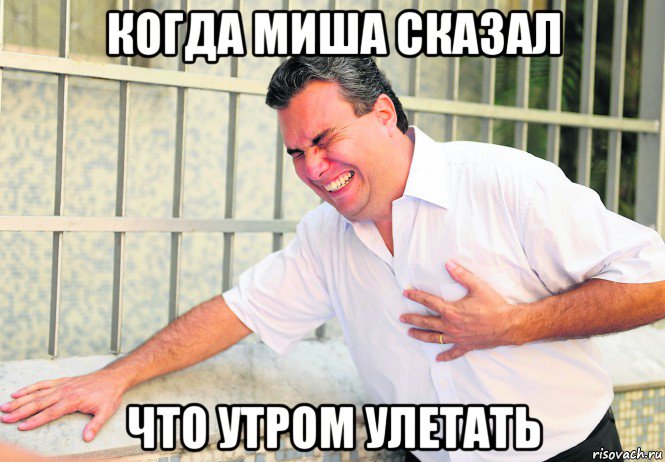 когда миша сказал что утром улетать