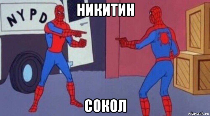 никитин сокол