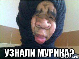  узнали мурика?, Мем Чепушило