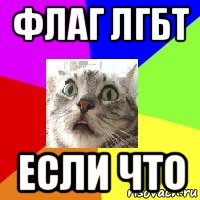 флаг лгбт если что