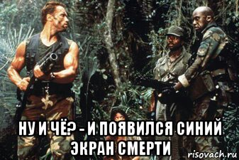 ну и чё? - и появился синий экран смерти, Мем Давай устроим посреди джунглей дискотеку