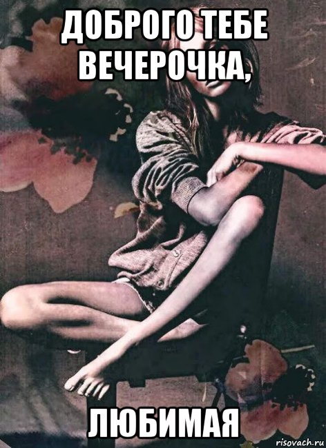 доброго тебе вечерочка, любимая, Мем Доброго тебе вечерочка Катенька