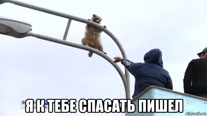  я к тебе спасать пишел, Мем Енот и фонарный столб