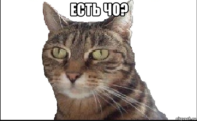 есть чо? , Мем Есть чо