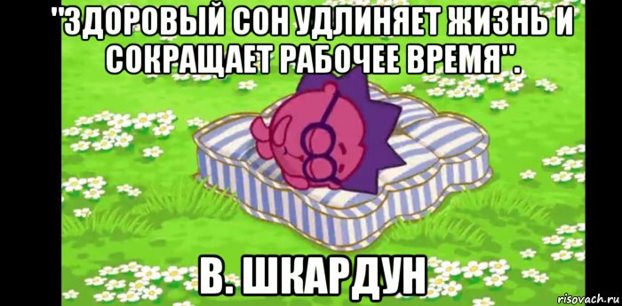 "здоровый сон удлиняет жизнь и сокращает рабочее время". в. шкардун, Мем Ежик спит