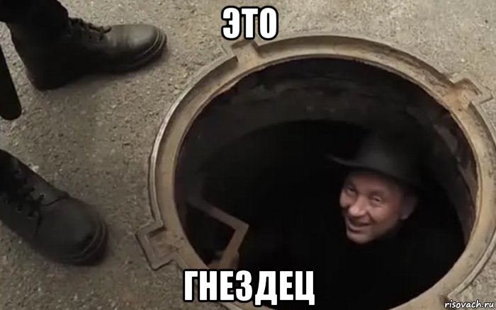это гнездец, Мем Гнездец