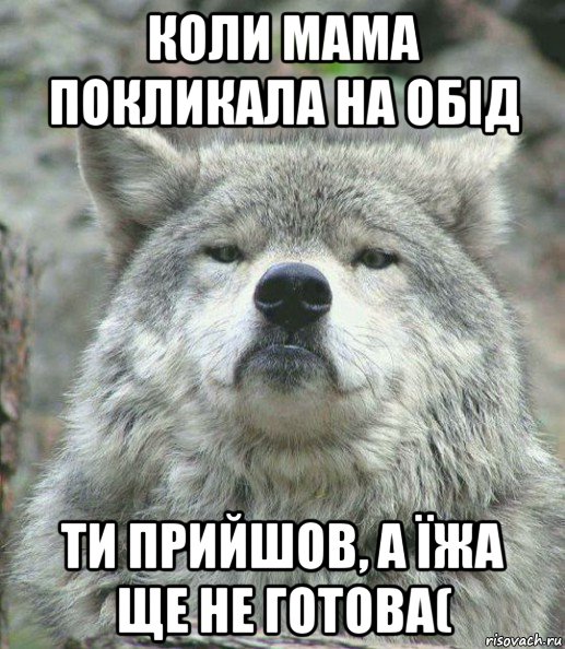 коли мама покликала на обід ти прийшов, а їжа ще не готова(, Мем    Гордый волк