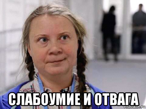  слабоумие и отвага, Мем Грета Тунберг