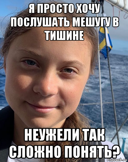 я просто хочу послушать мешугу в тишине неужели так сложно понять?, Мем Greta