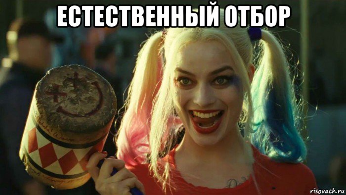 естественный отбор , Мем    Harley quinn