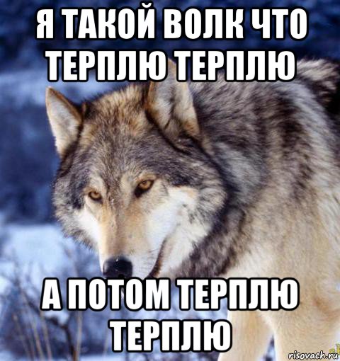 я такой волк что терплю терплю а потом терплю терплю