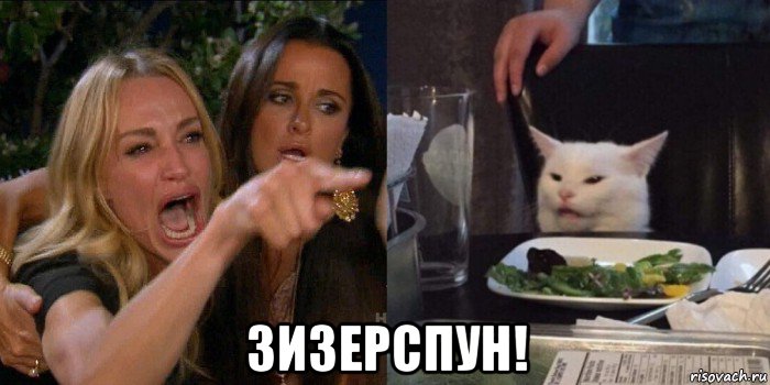  зизерспун!, Мем Истеричка и кот