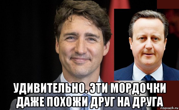  удивительно. эти мордочки даже похожи друг на друга, Мем Канада