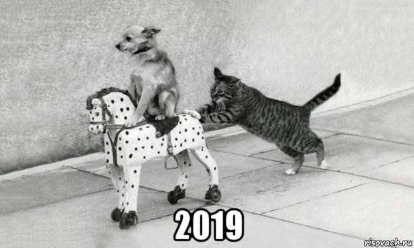  2019, Мем Катись к хуям