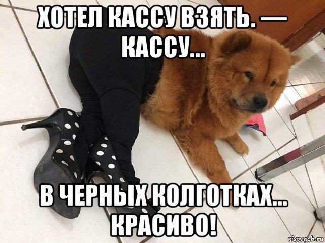 хотел кассу взять. — кассу… в черных колготках… красиво!, Мем Колготы ей жмут