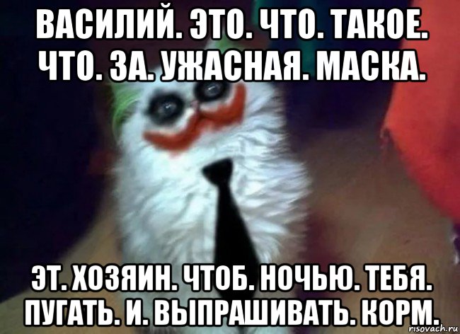 василий. это. что. такое. что. за. ужасная. маска. эт. хозяин. чтоб. ночью. тебя. пугать. и. выпрашивать. корм., Мем Кот джокера